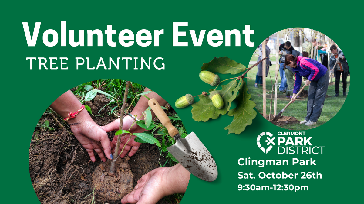 Volunteer Tree Planting Event Oct. 26th 9:30 @ Clingman Park